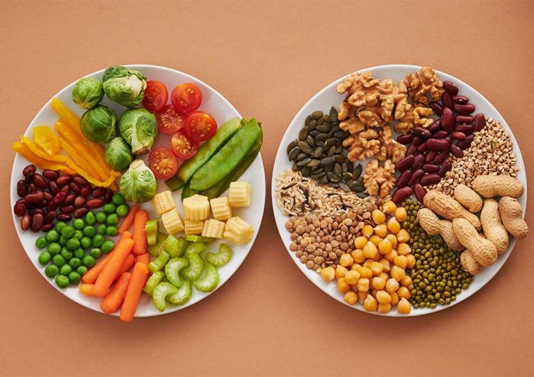 Cara Mengelola Asupan Protein untuk Mendukung Fungsi Ginjal