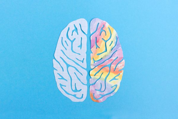 7 Tips Mengembangkan Otak Kanan untuk Keterampilan Kreatif 7 Tips Mengembangkan Otak Kanan untuk Keterampilan Kreatif