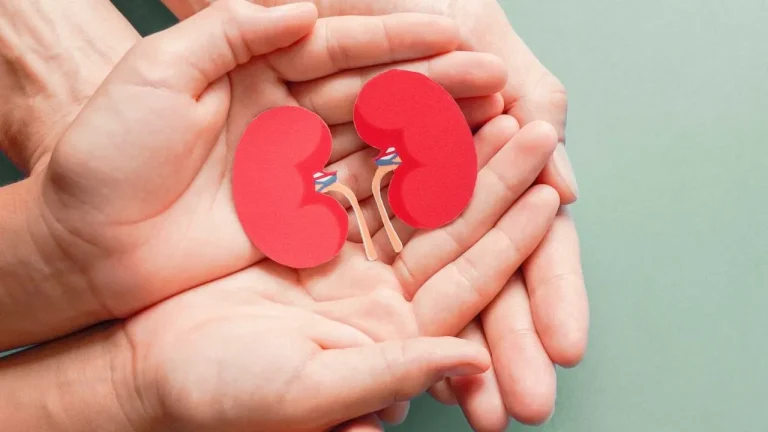 5 Langkah Mudah Mengurangi Risiko Penyakit Ginjal